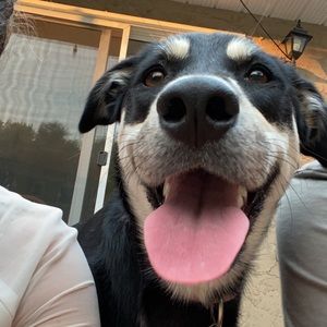 Meet your Posher, Kaylie